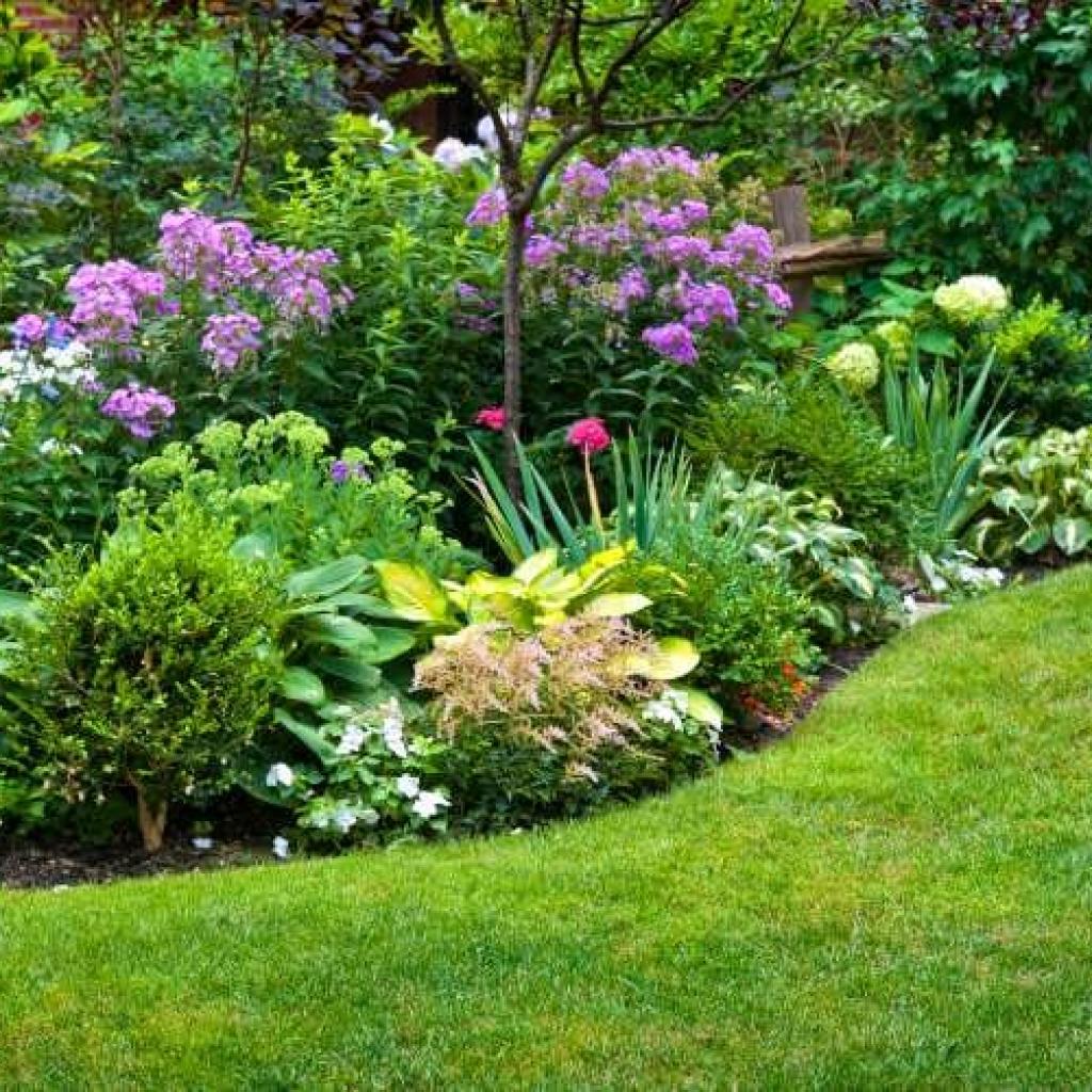 Tuinonderhoud: Een groene oase creëren