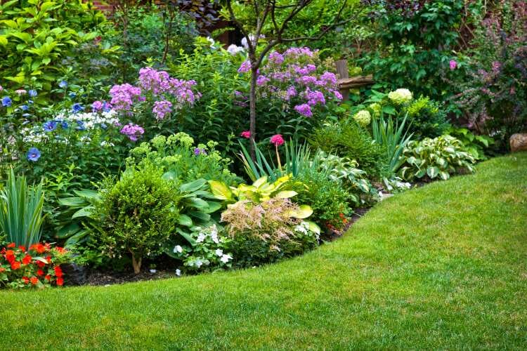 Tuinonderhoud: Een groene oase creëren