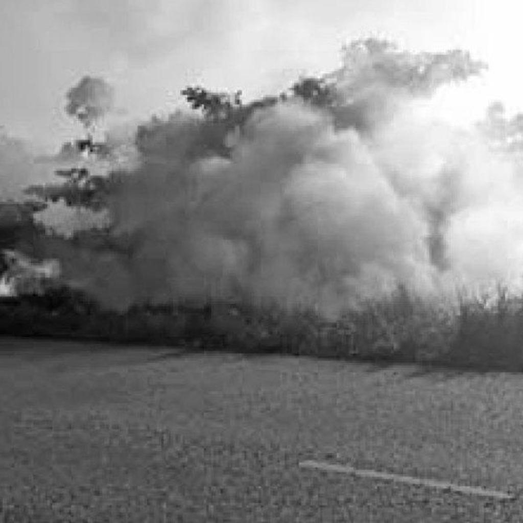 Bermbranden tussen Wageningen en Nickerie leiden tot gevaarlijke situaties op de weg