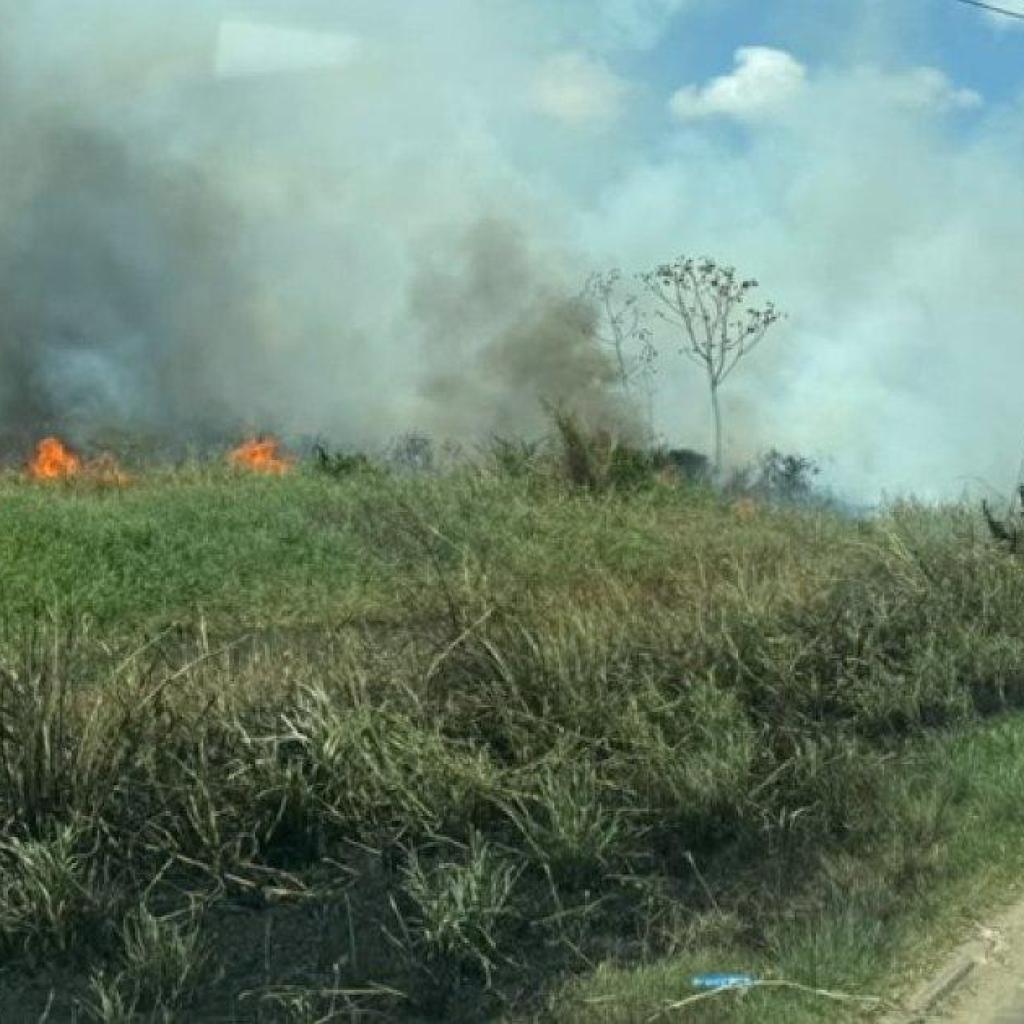 Onrust in Paramaribo-Noord door aanhoudende vlammenzeeën op bermen en percelen