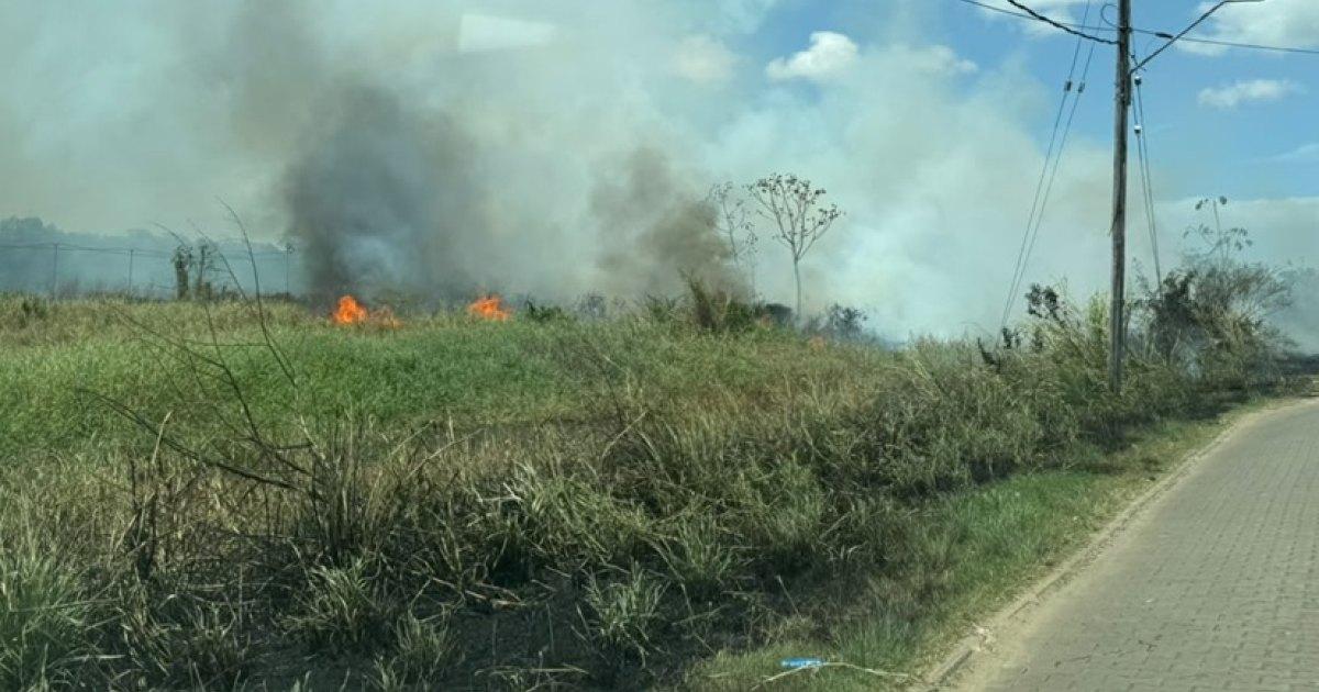 Onrust in Paramaribo-Noord door aanhoudende vlammenzeeën op bermen en percelen