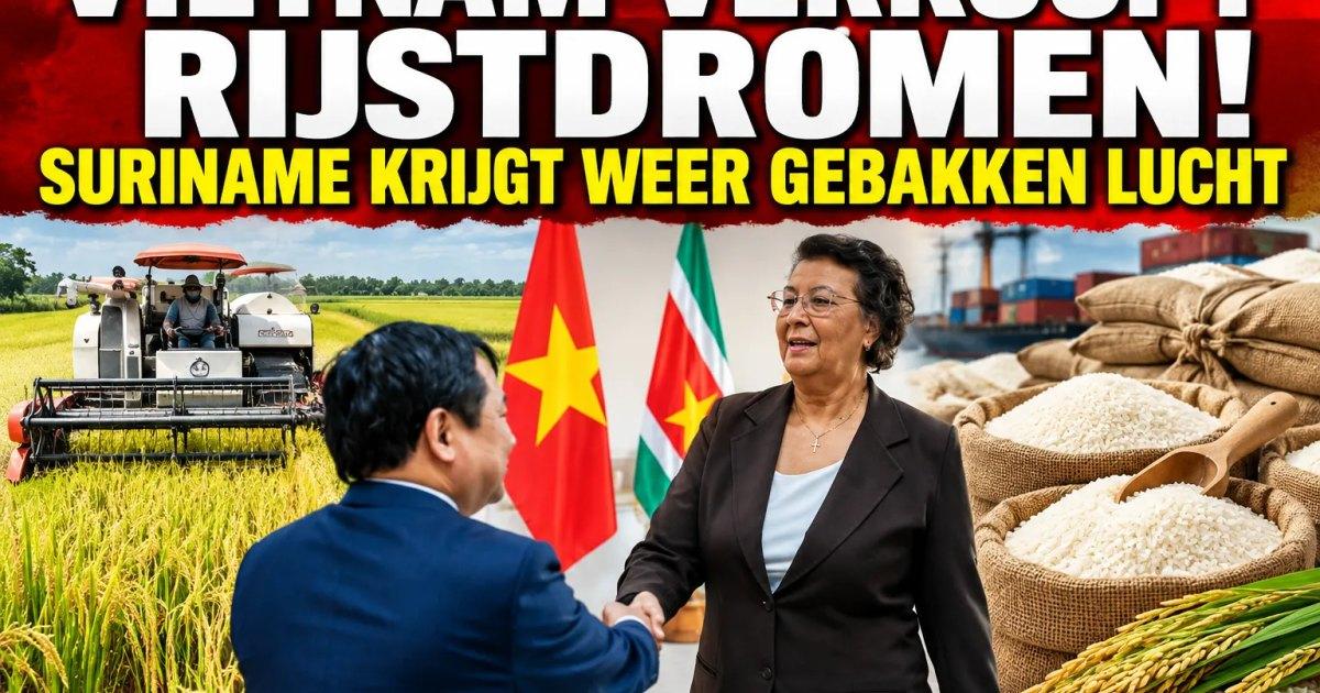 Kritische blik op diplomatieke beloften over rijstsector na afscheidsbezoek Vietnamese ambassadeur