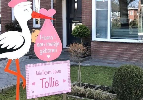 'Pas geborene in NL, Hoe groot gaat onze Tollie worden? Hoe lang? Hoe dik? Zo ...'